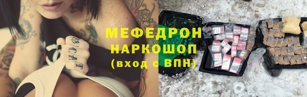 индика Бородино