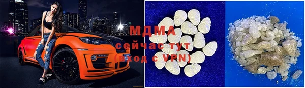 индика Бородино