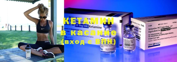 индика Бородино