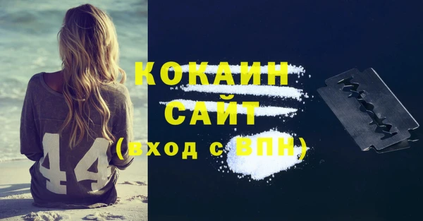 индика Бородино