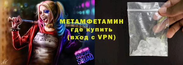 индика Бородино