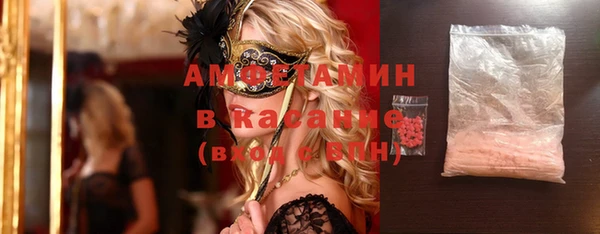 индика Бородино
