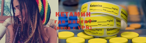 индика Бородино