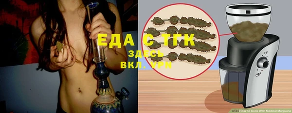 индика Бородино