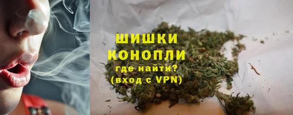 индика Бородино