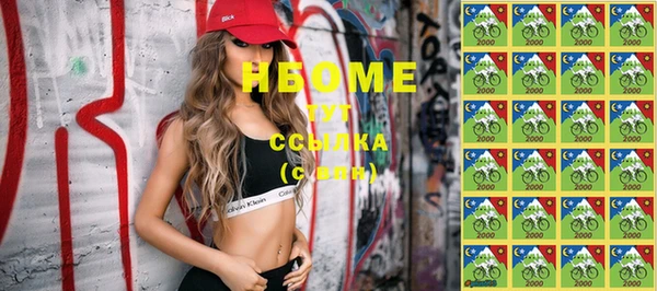 индика Бородино