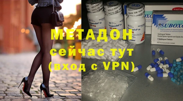 индика Бородино
