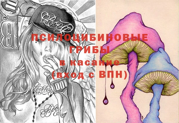 сатива Бугульма