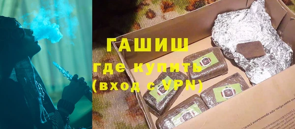 индика Бородино