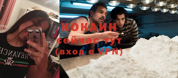 сатива Бугульма