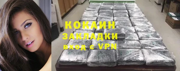 индика Бородино